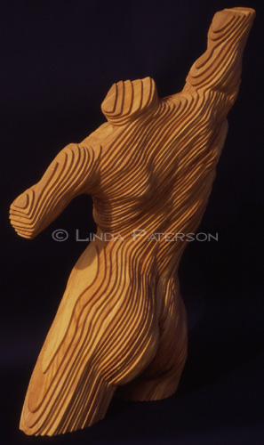 &copy; Linda Paterson