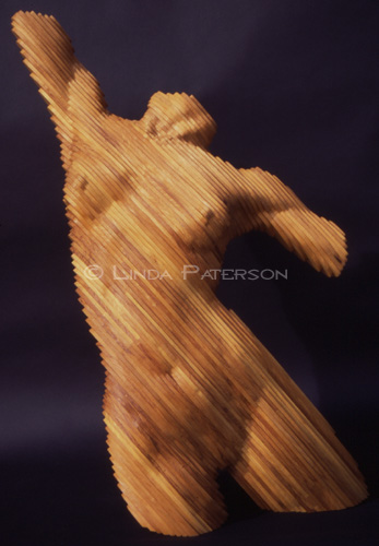 &copy; Linda Paterson