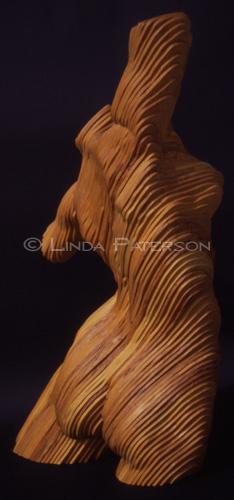 &copy; Linda Paterson