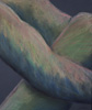 Arms and a Leg