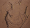 Chest
