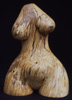 Half Torso