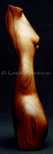 Twisted Figure