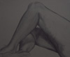 Legs