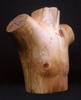 Man's Chest