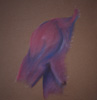 Shoulder