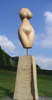Torso