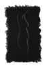 Torso Highlights