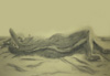 Woman Twisted Towards the Sun