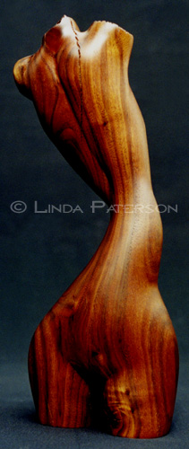 &copy; Linda Paterson