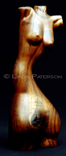 &copy; Linda Paterson